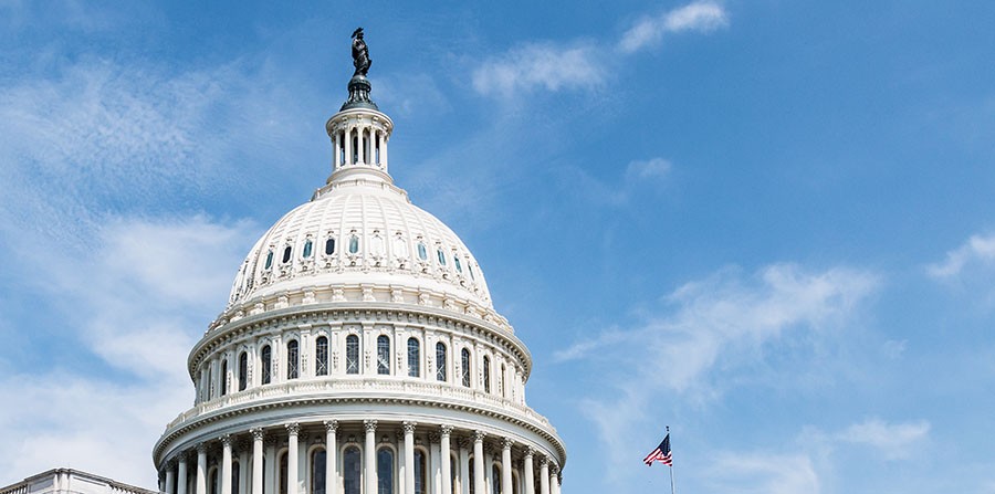 The U.S. Capitol dome