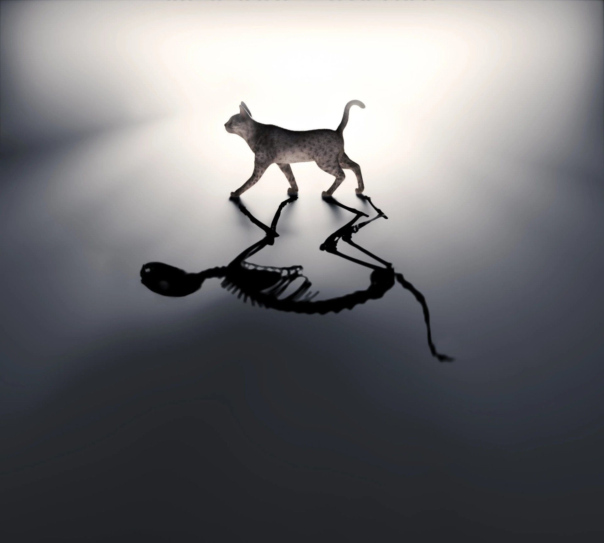 The “Schrödinger’s cat” thought experiment, conceived in 1935, is one of physics’ most famous paradoxes—and an enduring example of the challenge of teaching quantum mechanics.