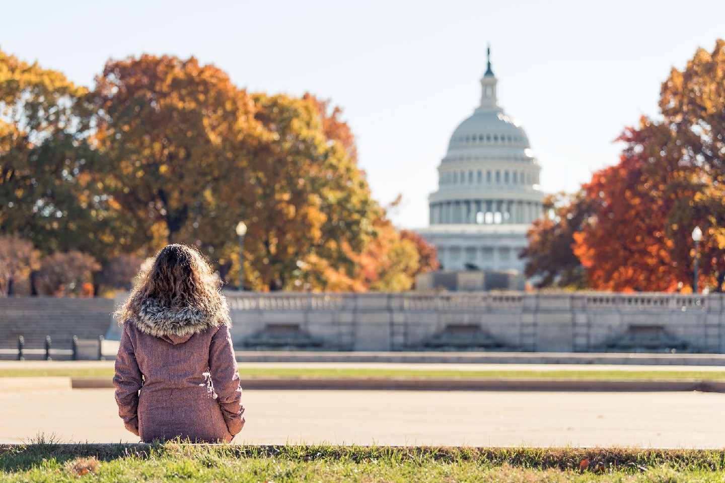 A woman sits outside with a view of the Capitol Building.