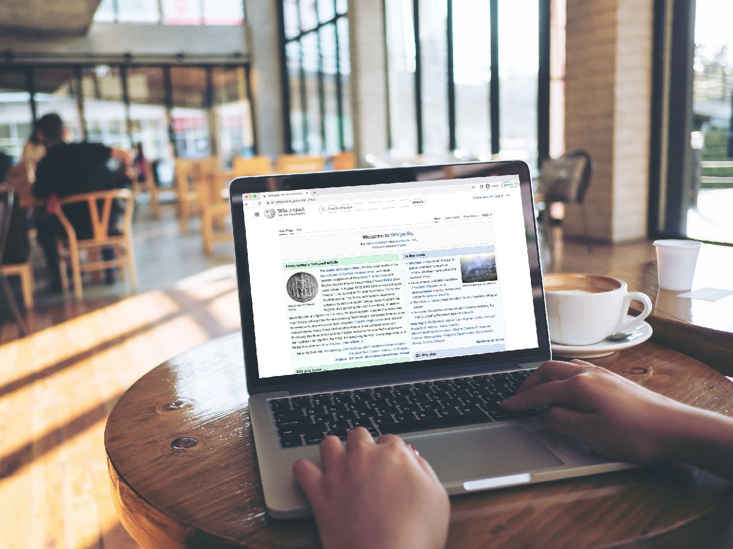 A person looking at Wikipedia on a laptop in a cafe