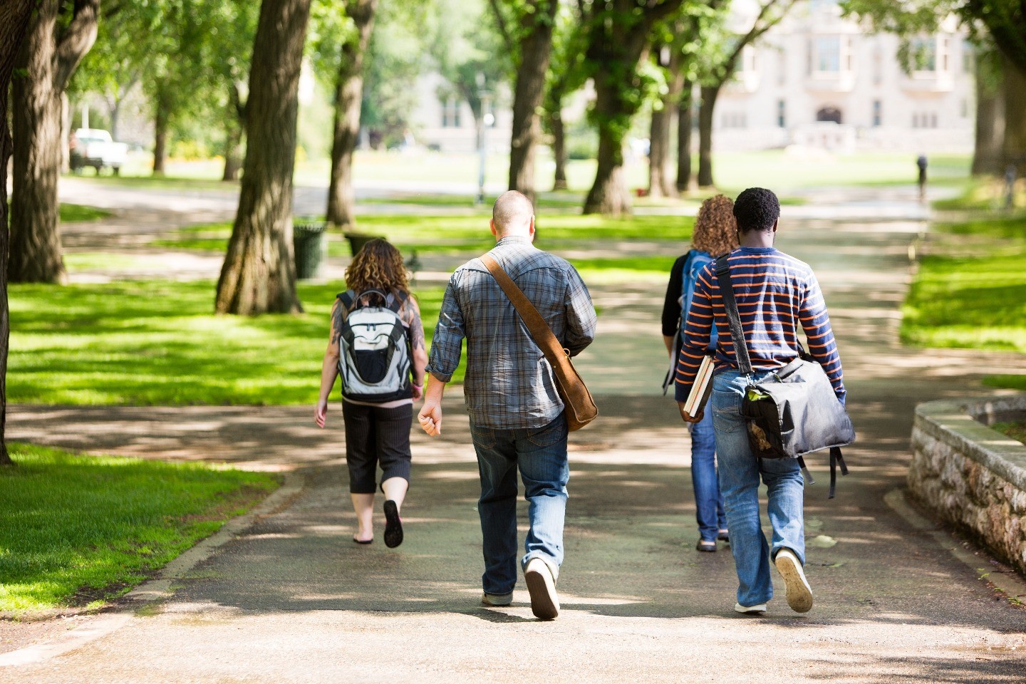 Students walk on a leafy college campus, their backs to the camera.